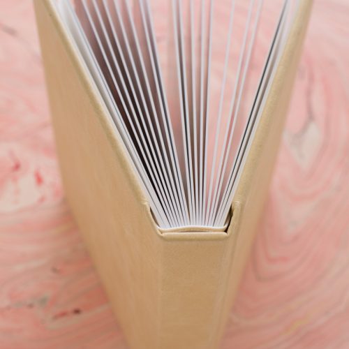leather_album_slightly_open_over_pink